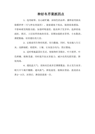 种好冬芹菜抓四点