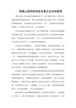 种植山药的挖沟技术要点及田间管理