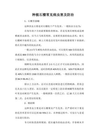 种植石榴常见病虫害及防治