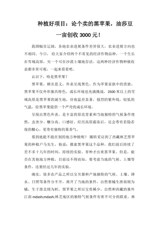 种植好项目：论个卖的黑苹果-油莎豆一亩创收3000元!