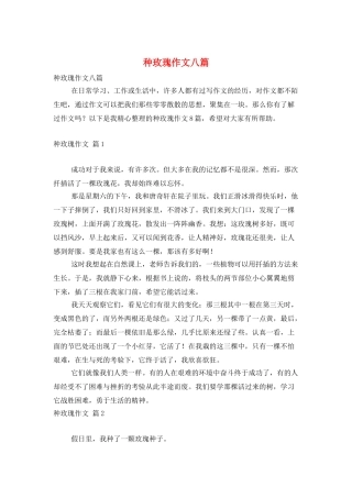 种玫瑰作文八篇