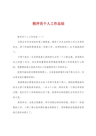程序员个人工作总结