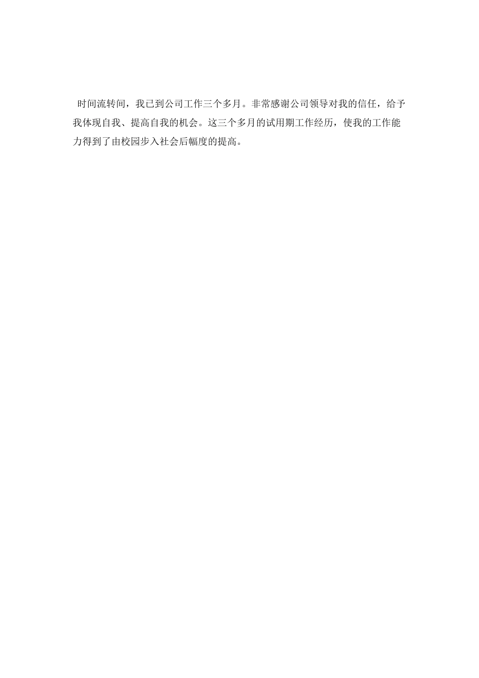 程序员年终总结_第3页