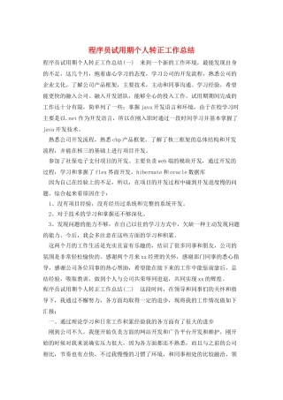 程序员试用期个人转正工作总结