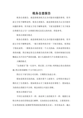 税务自查报告（标准版）