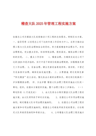 稽查大队2025年管理工程实施方案