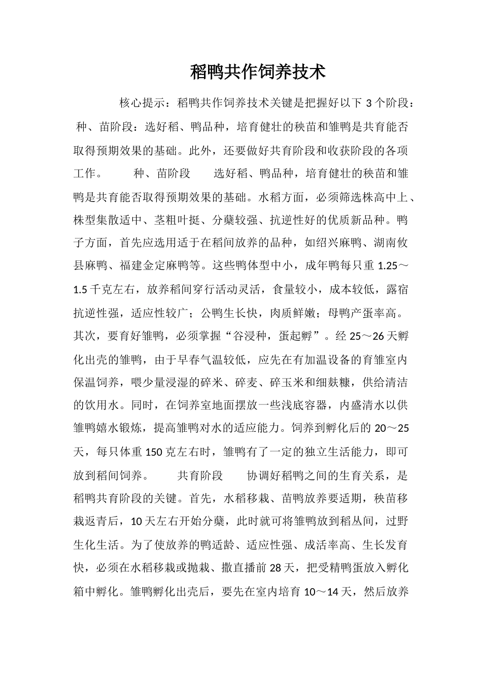 稻鸭共作饲养技术_第1页