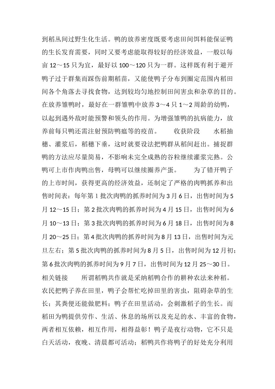 稻鸭共作饲养技术_第2页