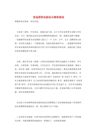 竞选国资处副处长精彩演说