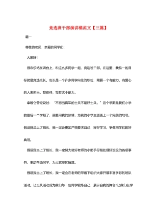 竞选班干部演讲稿范文