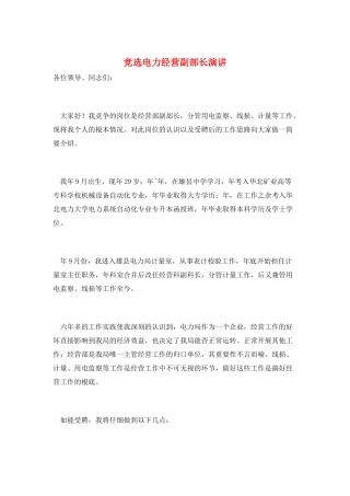 竞选电力经营副部长演讲