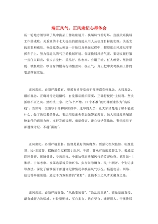 端正风气-正风肃纪心得体会