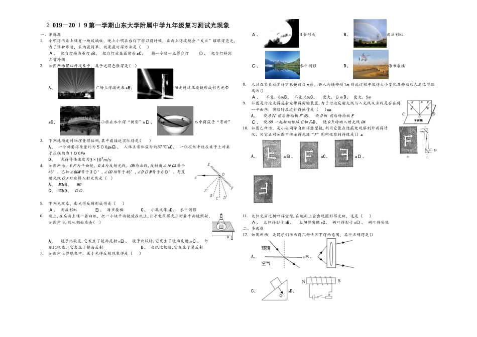 第一学期山东大学附属中学九年级复习测试光现象_第1页