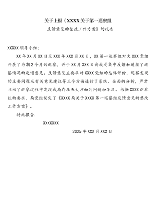第一巡察组反馈意见的整改方案