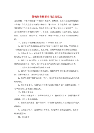 管帐财务核算实习总结范文
