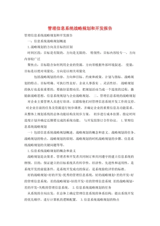 管理信息系统战略规划和开发报告