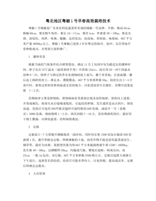 粤北地区粤椒1号早春高效栽培技术