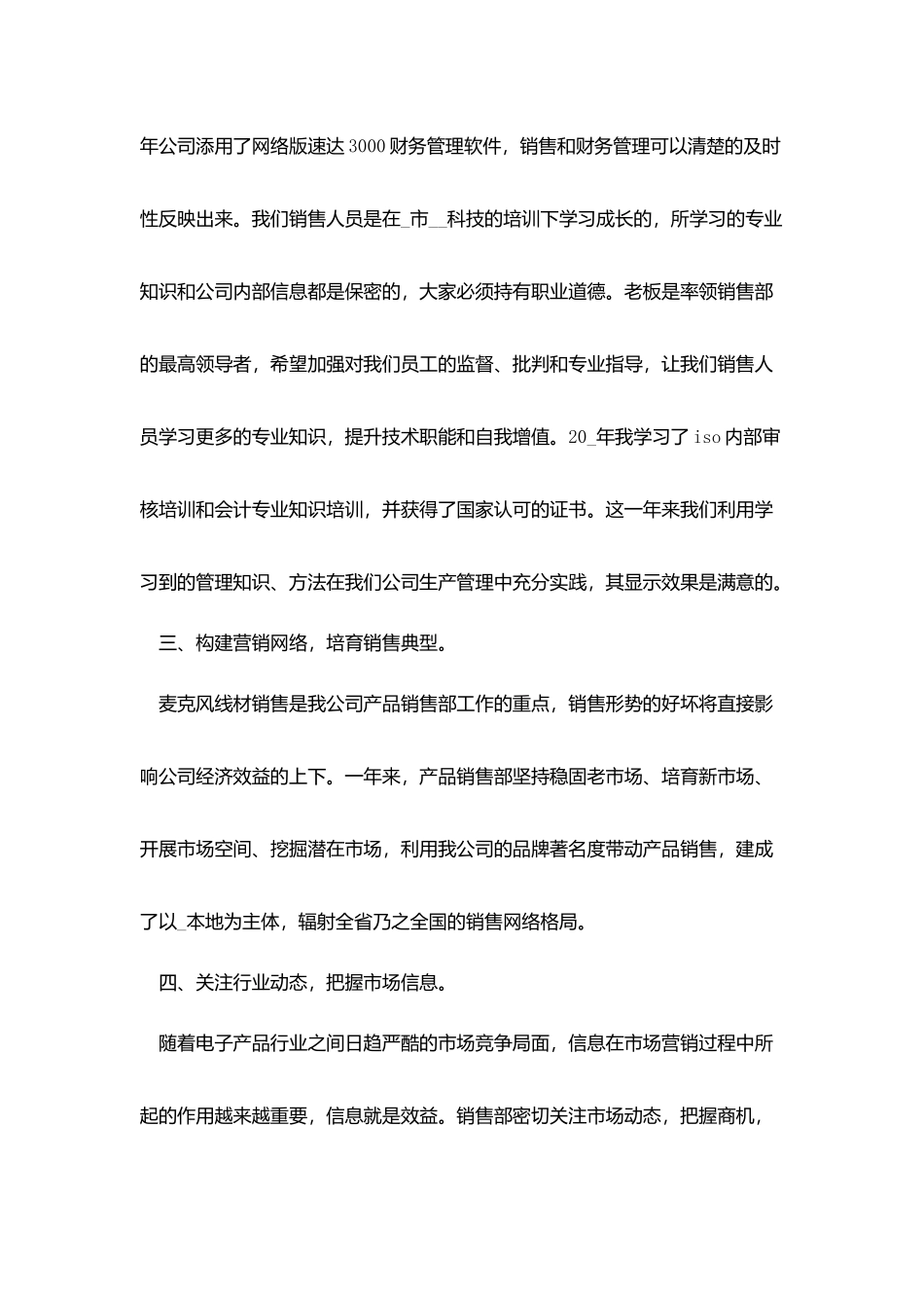 粽子年度销售总结模板_第2页