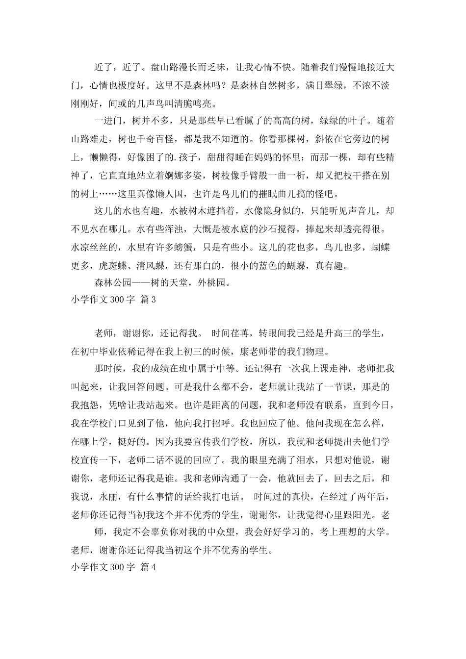精选小学作文300字四篇_第2页