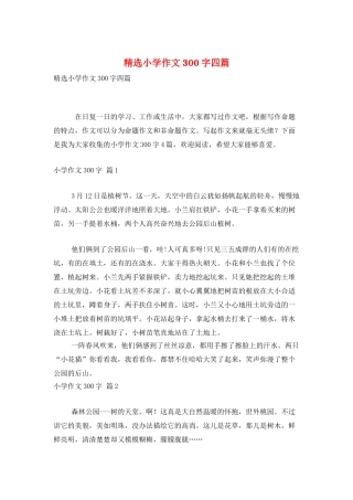 精选小学作文300字四篇