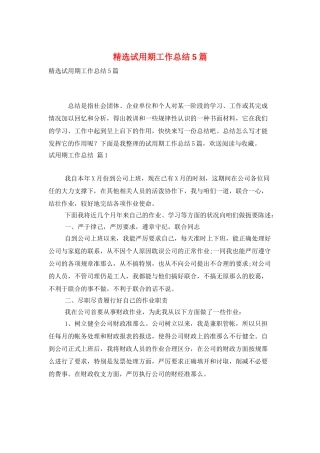 精选试用期工作总结5篇
