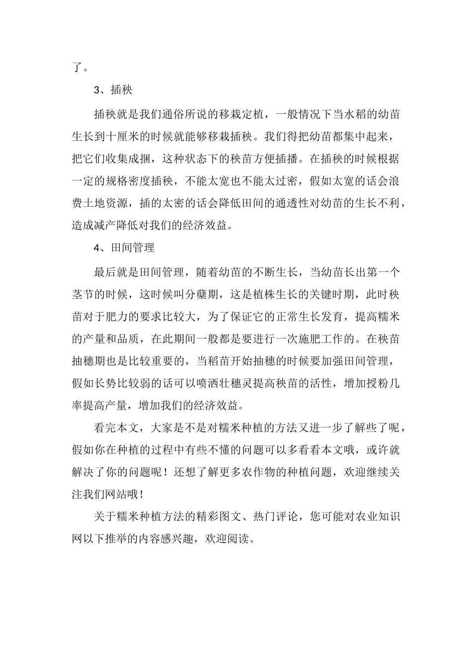 糯米的种植方法-看完少走弯路!_第2页