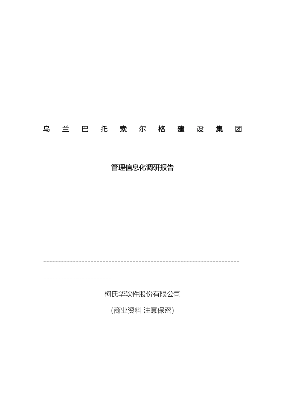 索尔格集团信息化调研报告_第2页