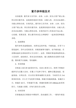 紫丹参种植技术