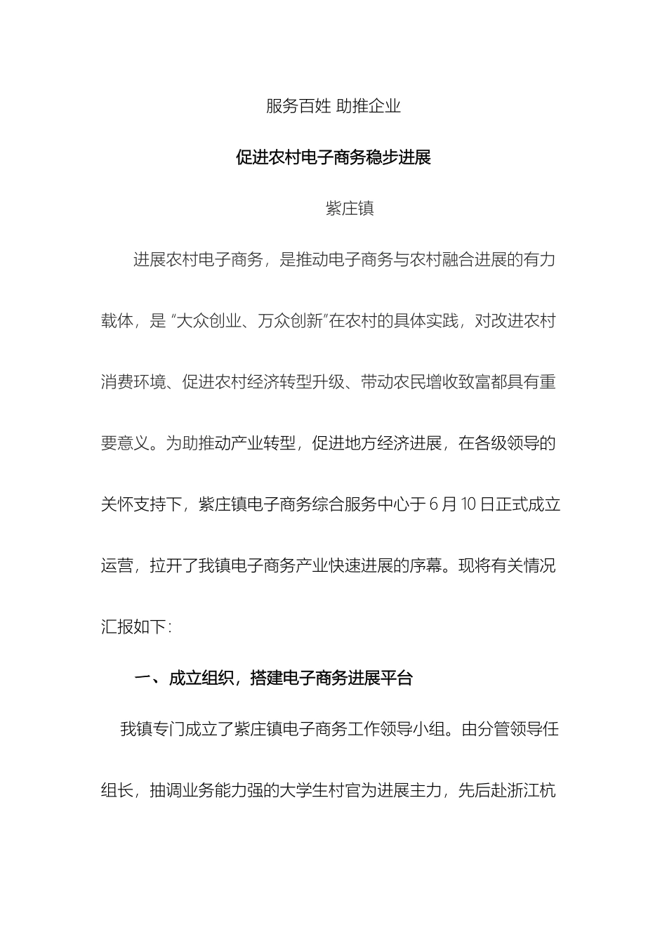 紫庄镇电子商务运营方案_第2页