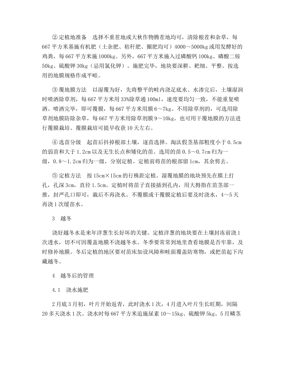 紫星洋葱栽培技术_第2页