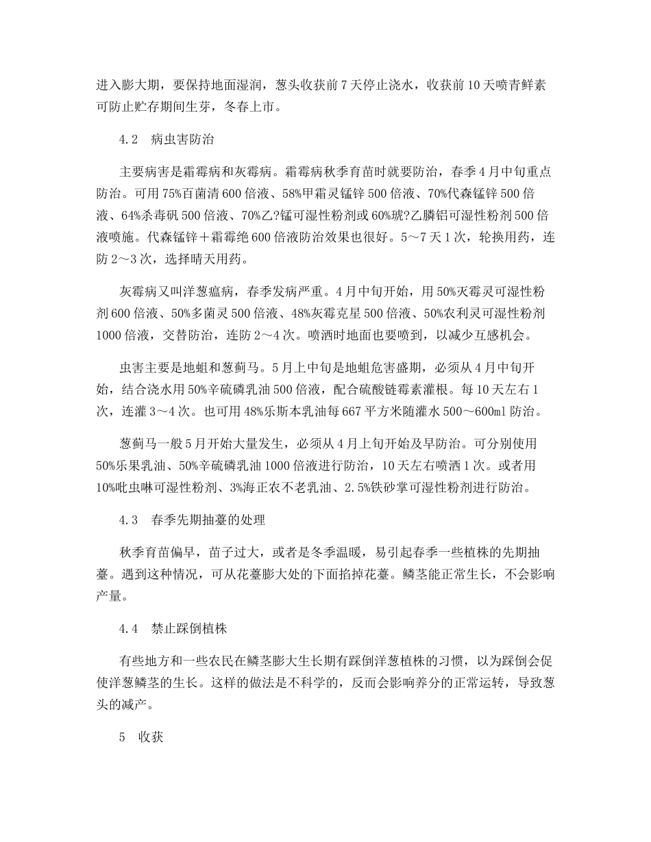 紫星洋葱栽培技术_第3页