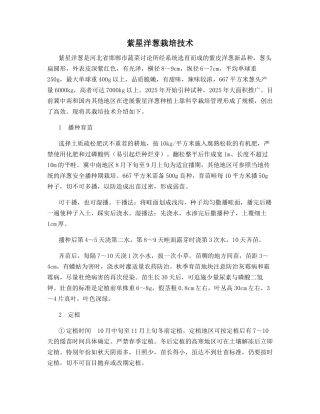 紫星洋葱栽培技术