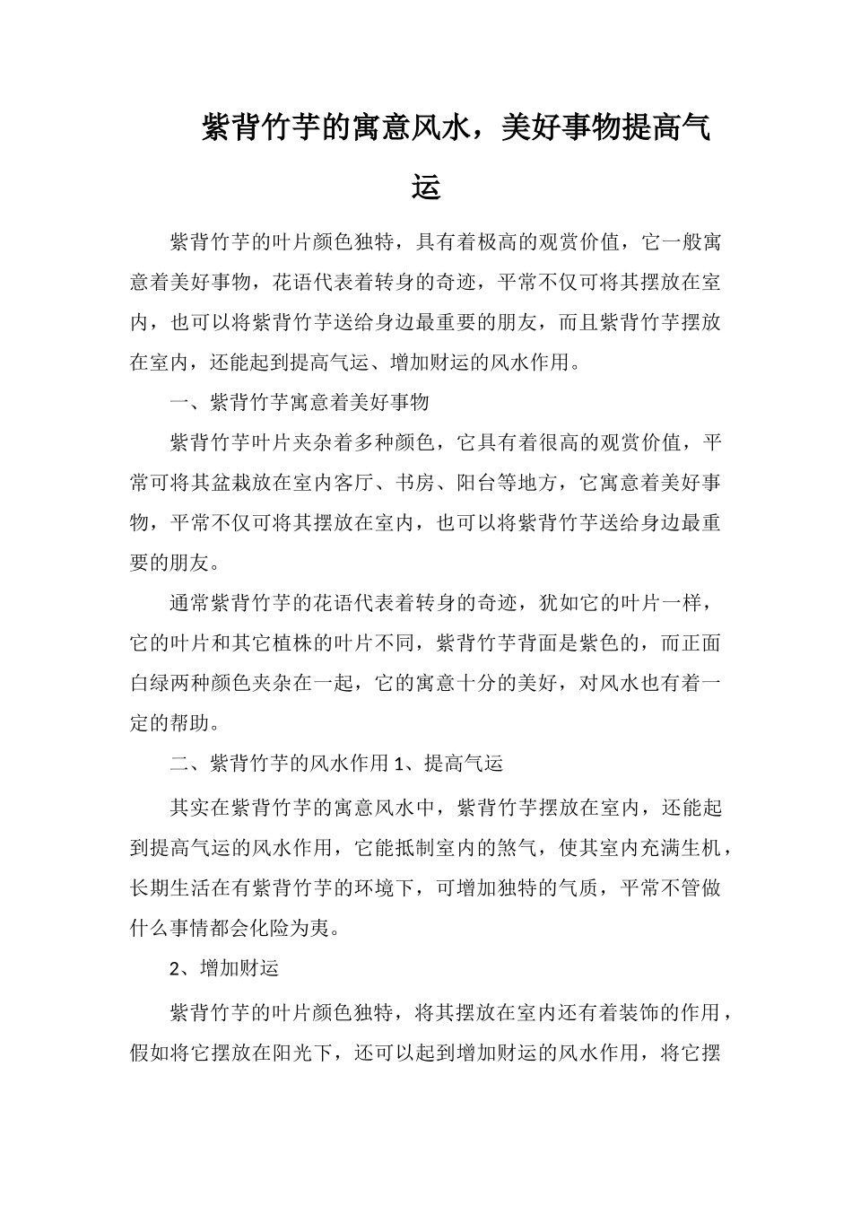 紫背竹芋的寓意风水-美好事物提高气运_第1页