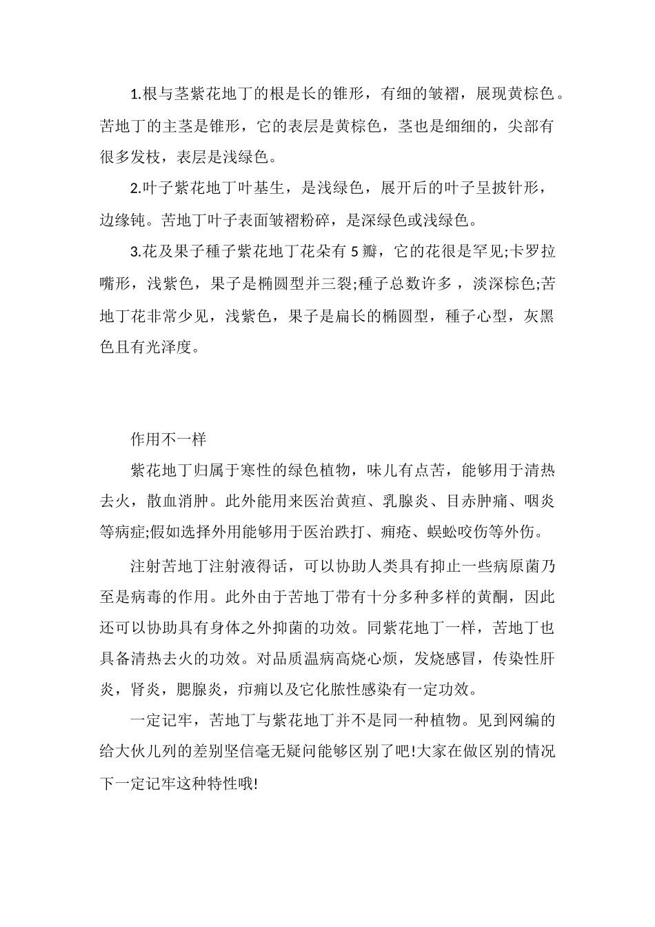 紫花地丁和苦地丁区别_第2页