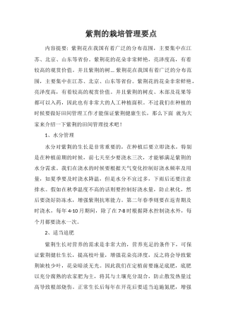 紫荆的栽培管理要点