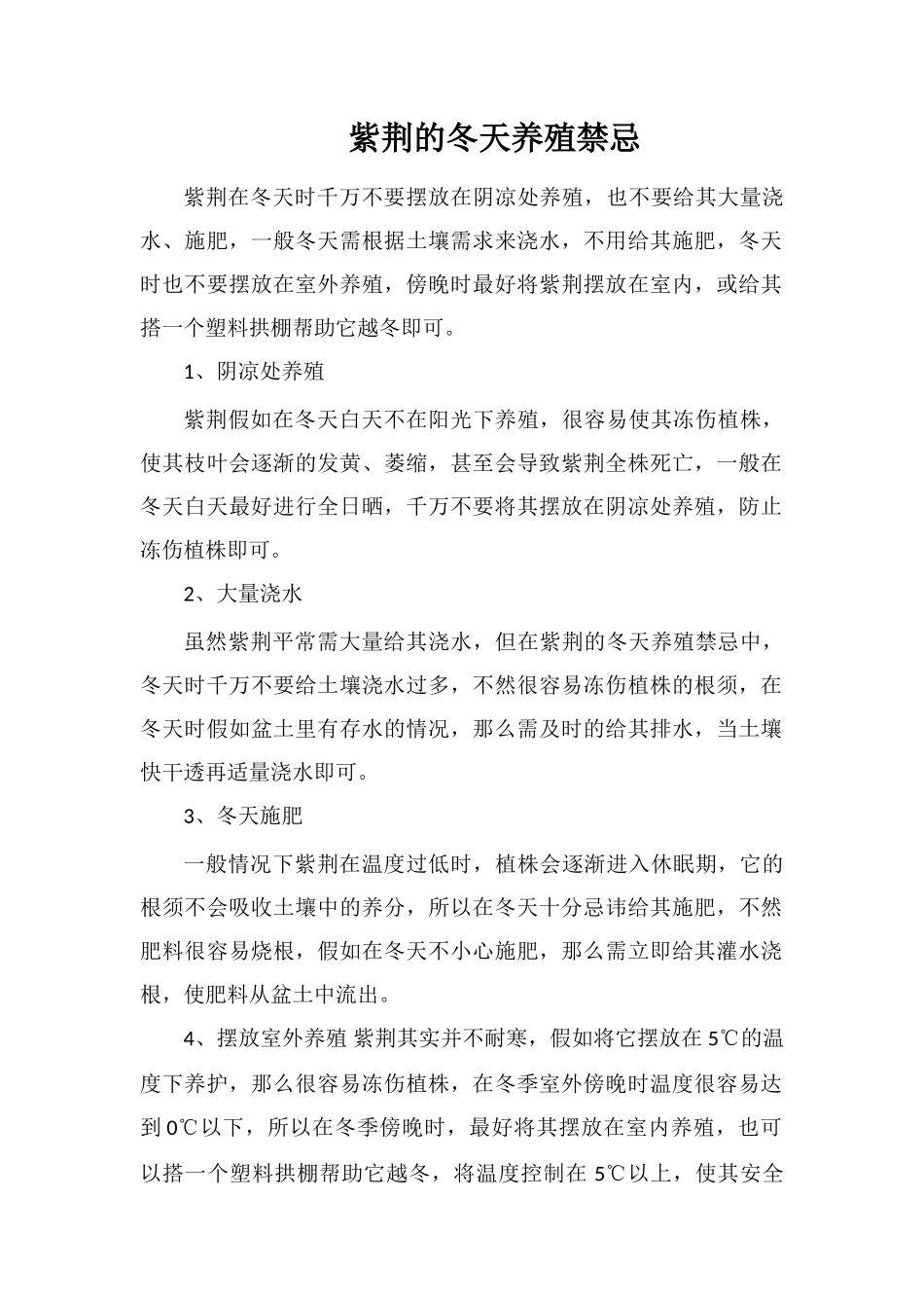 紫荆的冬天养殖禁忌_第1页