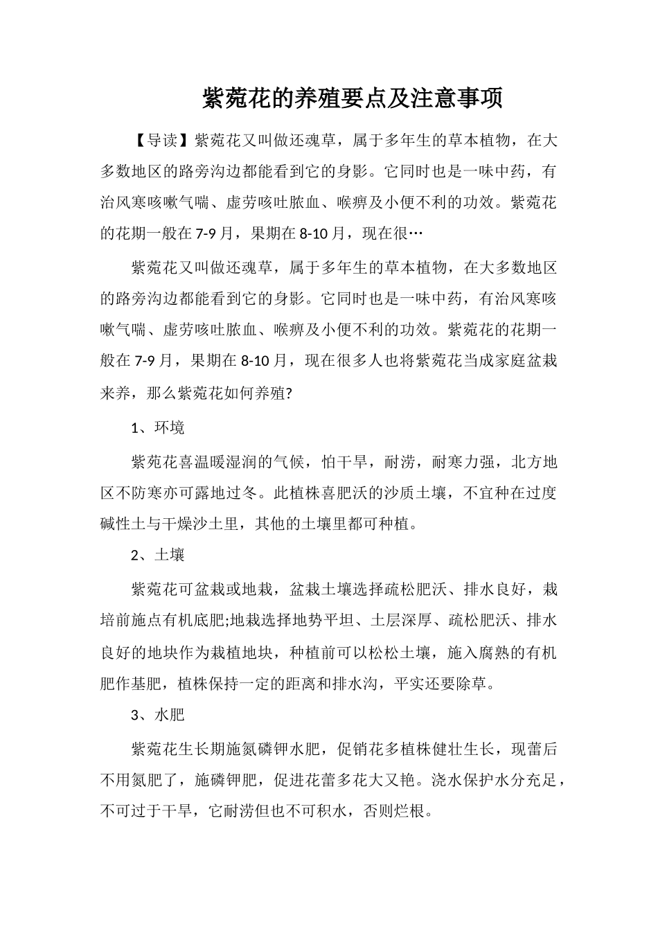 紫菀花的养殖要点及注意事项_第1页