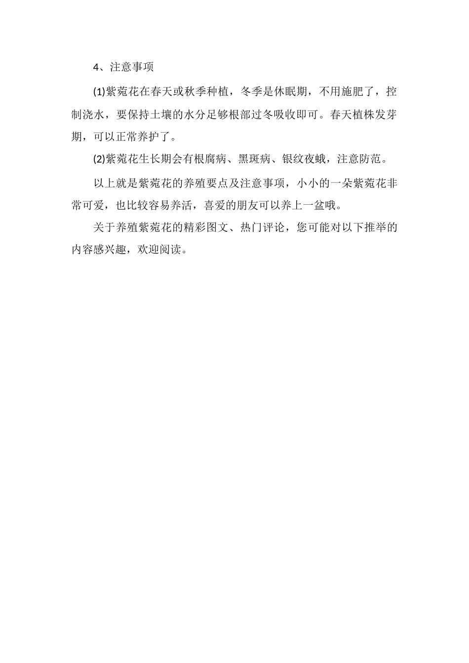 紫菀花的养殖要点及注意事项_第2页