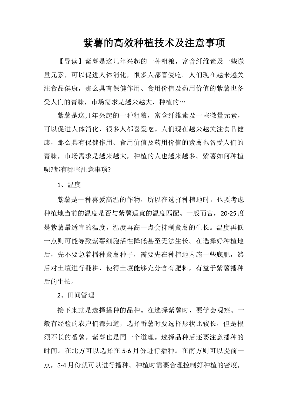 紫薯的高效种植技术及注意事项_第1页