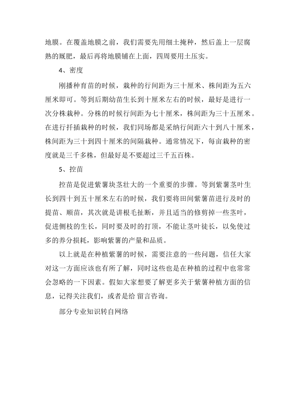 紫薯种植的注意事项_第2页