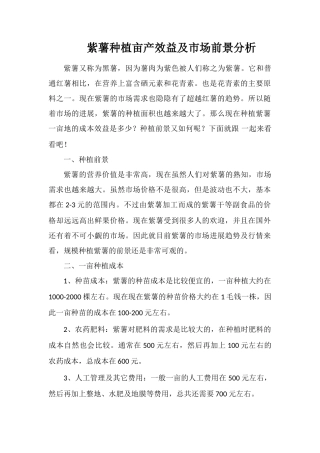 紫薯种植亩产效益及市场前景分析