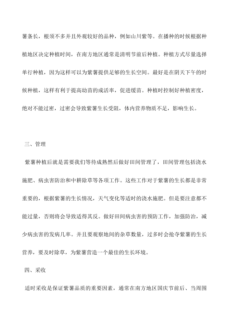 紫薯种植管理及采收方法_第2页