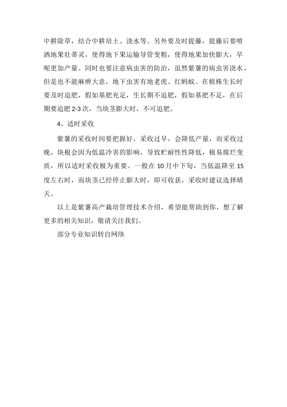 紫薯高产栽培管理技术_第2页
