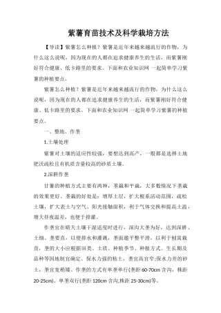 紫薯育苗技术及科学栽培方法