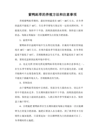 紫鸭跖草的养殖方法和注意事项