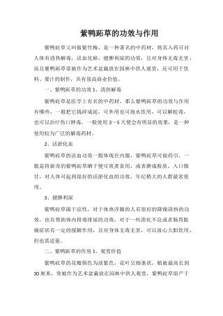 紫鸭跖草的功效与作用
