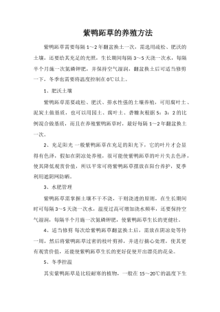 紫鸭跖草的养殖方法