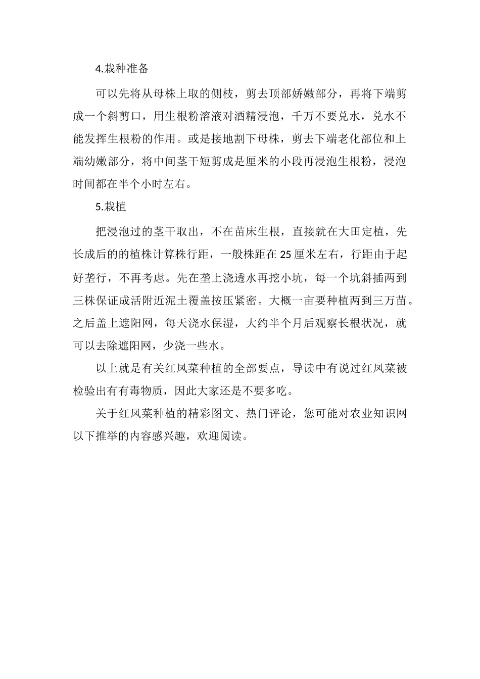 红凤菜种植时间和栽培技术_第2页