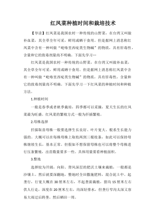 红凤菜种植时间和栽培技术