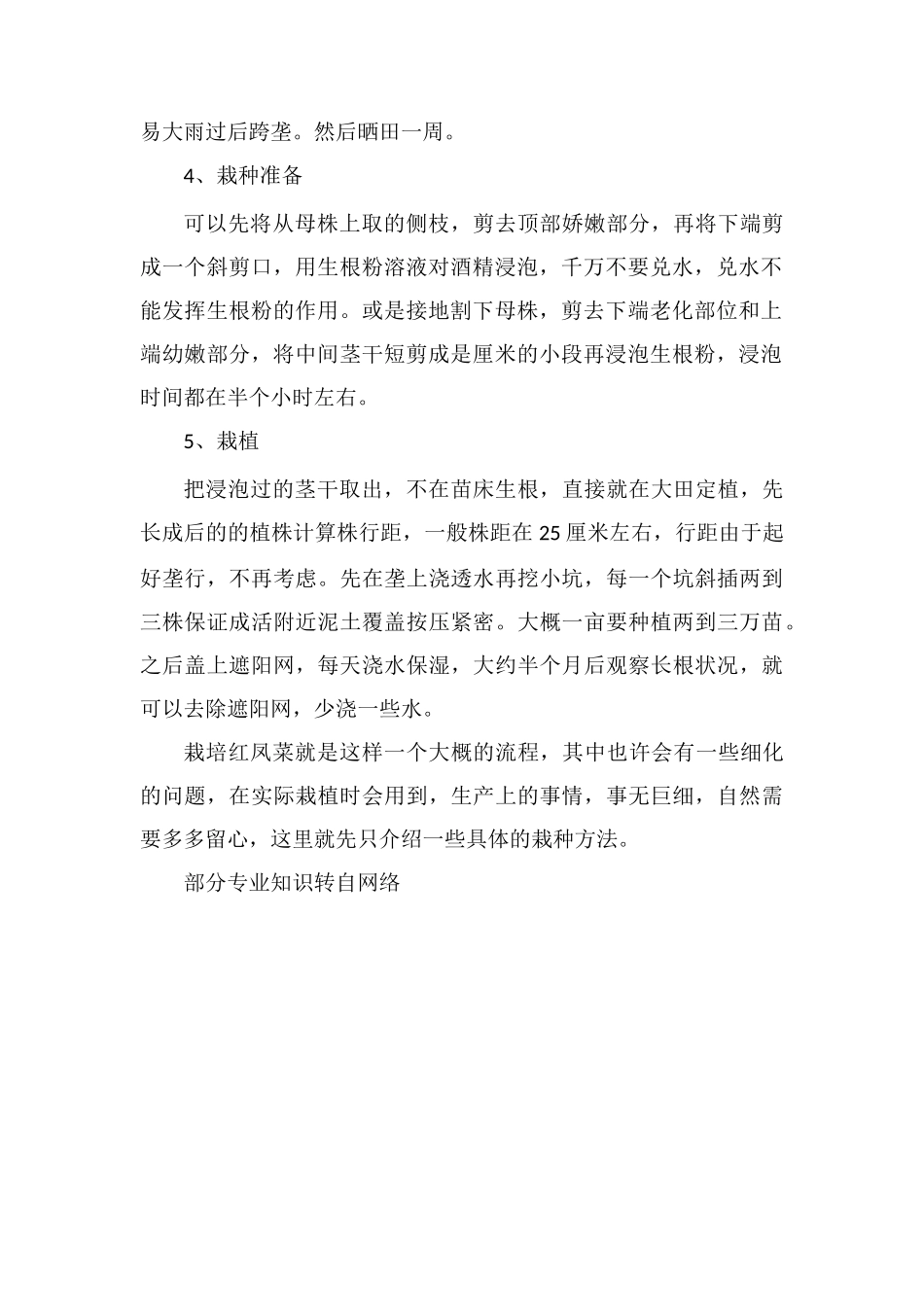 红凤菜的栽培技术_第2页